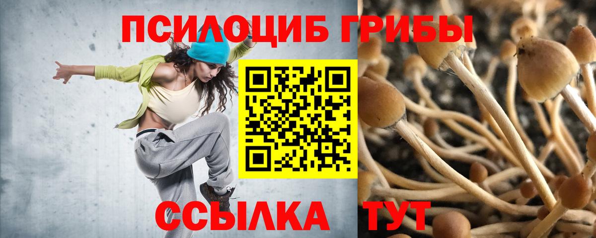 Псилоцибиновые грибы Magic Shrooms Находка
